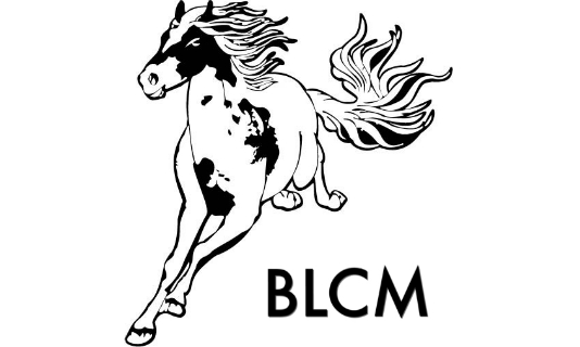 公会主页 : 凤城俱乐部 | 繁星直播 | 全球最大音